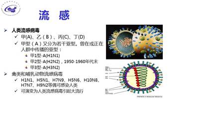 【连载】流感的规范化诊断与治疗-3中国流感形势、流行病学和防控1-19页