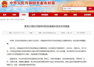 猪瘟事件致双汇发展跌停 疫情已得到有效控制