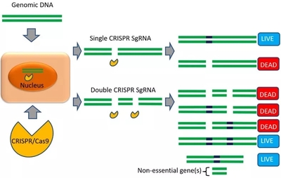黑龙江畜产品交易信息平台 黑龙江省畜牧业协会