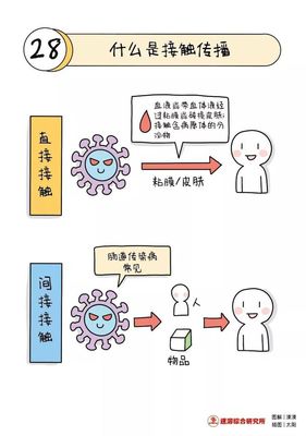 新冠肺炎预防手册 新冠肺炎的流行病学特点及传播途径