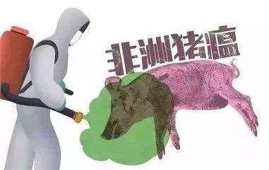 猪瘟病毒与食品安全 科学看待品牌水饺事件及流行病学分析